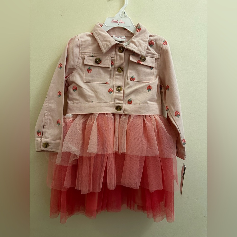 Little Lass Pink Strawberry Embroidered Tulle Dress